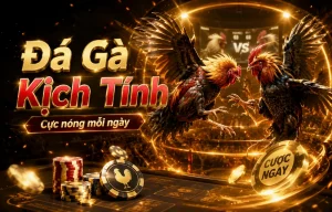 Giao diện Đá Gà DAGA
